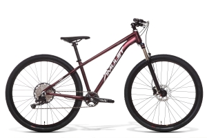 Amulet 29 Night Cat 6.0 SH